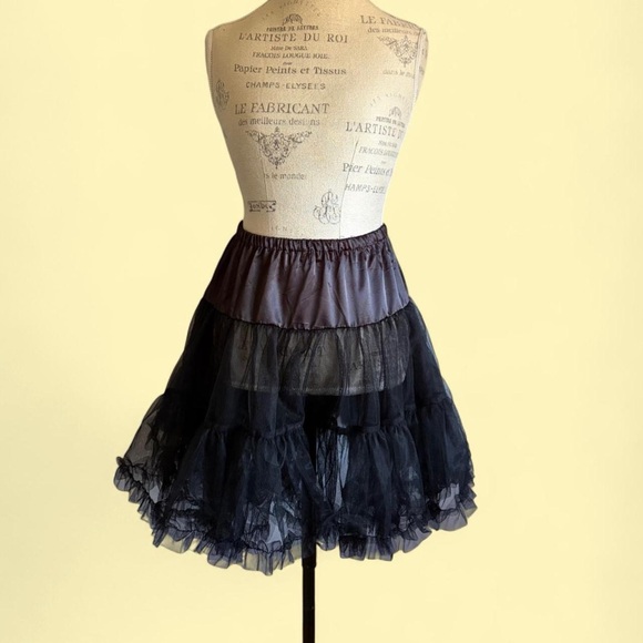 Mesh Skirt - Picture 3 of 7